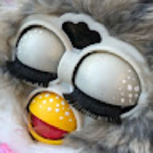 Meet your Posher, Xavier